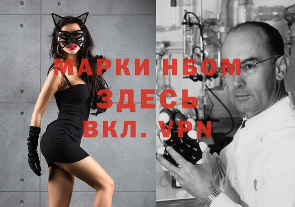 мяу мяу мука Беломорск