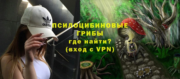 mdpv Белокуриха