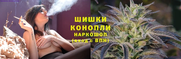 mdpv Белокуриха