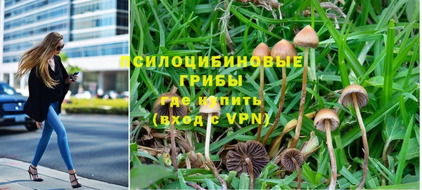 мяу мяу мука Беломорск